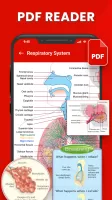 PDF Reader & PDF Book Viewer
