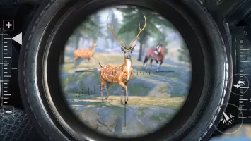 Safari Deer Hunting: Gun Games