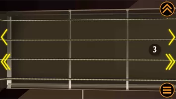 Bass Guitar Funk