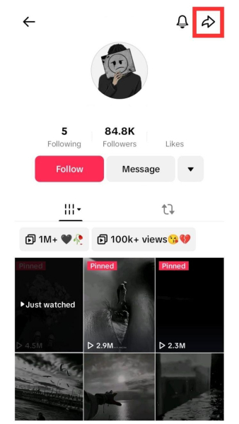 How to Report a TikTok Account: Is There a Detailed Guide to Flagging Harmful Content?