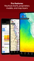 WindAlert: Wind & Weather Map