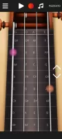 Real Violin Solo