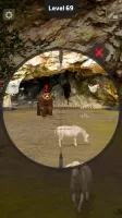 Animal Hunter: Wild Shooting