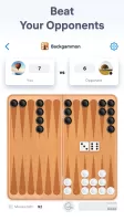 Backgammon - Board Game