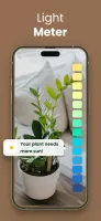 Plantify