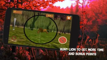Deer Hunting in Hunter Valley