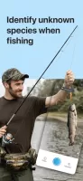 Picture Fish