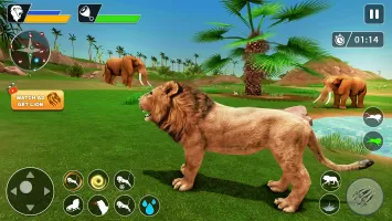 Lion Games Animal Simulator 3D