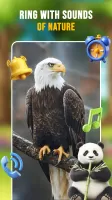 Animal Ringtones & Wallpapers