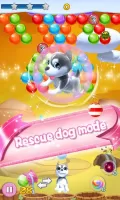 Puppy Bubble
