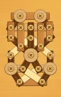Screw Puzzle