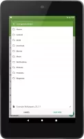 My APK