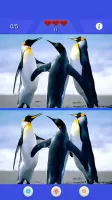 Find the difference 500 levels