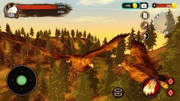 The Eagle
