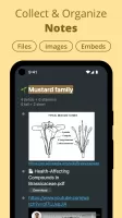 Workflowy |Note, List, Outline