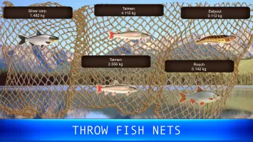 Fish rain: sport fishing