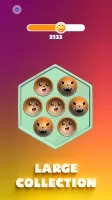 Pop It! Fidget Toys 3D Poppet