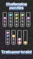 Sorting Ball Quiz