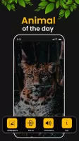 Animal Ringtones & Wallpapers