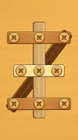Screw Puzzle