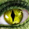 R V