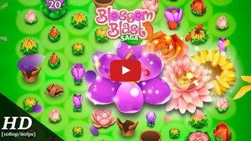 Blossom Blast Saga Android Gameplay [60fps]