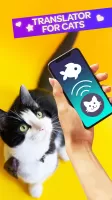 Cat Translator Pet Talk Meow