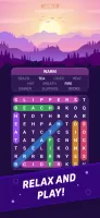 Word Search Explorer