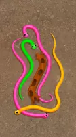 Snake Knot: Sort Puzzle Game