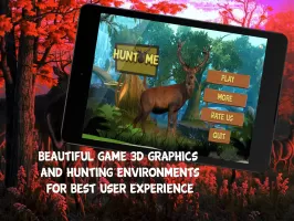 Deer Hunting in Hunter Valley