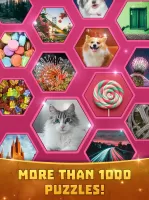 Hex Block Jigsaw Puzzle