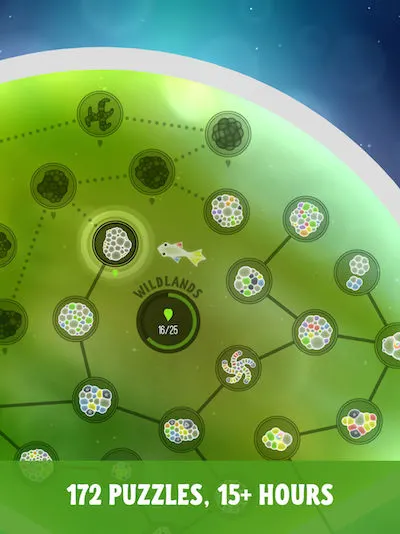 Tiny Bubbles