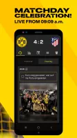 BVB