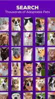 Petfinder