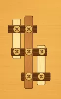 Screw Puzzle