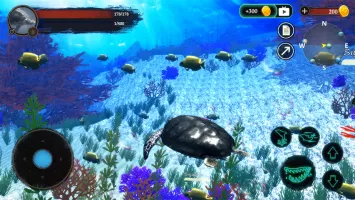 The Turtle