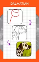 How to draw animals by steps