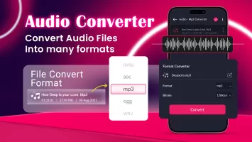 Offline Music Player App