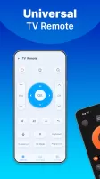 Universal TV Remote Control