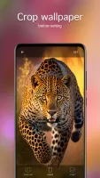 Animal Wallpapers 4K