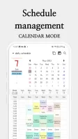 Daily Schedule