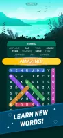 Word Search Explorer