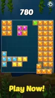 Block Ocean Puzzle 1010