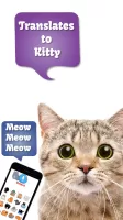 Cat Translate