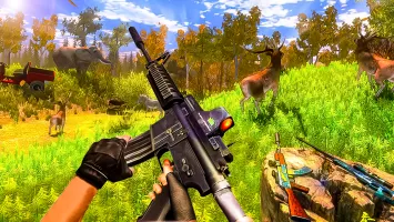 Animal Hunting