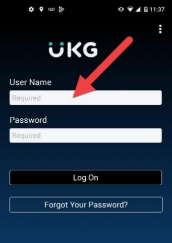 UKG Workforce Central