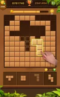 Block Puzzle