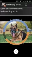Identify Dog Breeds