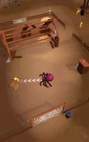 The Spider Nest
