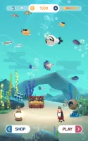 Puzzle Aquarium